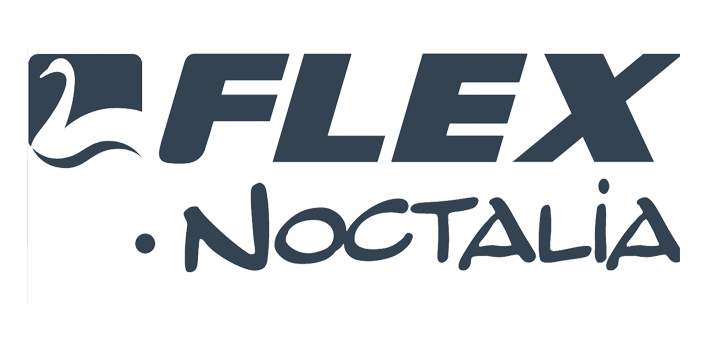 Logo Flex